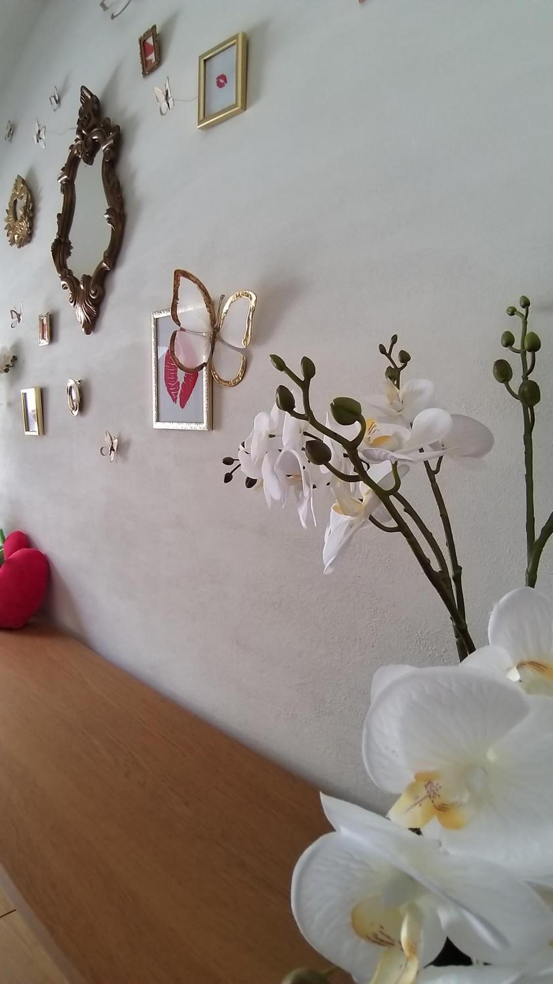 Wellness Loft With Sauna, Jacuzzi, Roof Terrace & Amazing View Apartment Antwerpen Ngoại thất bức ảnh