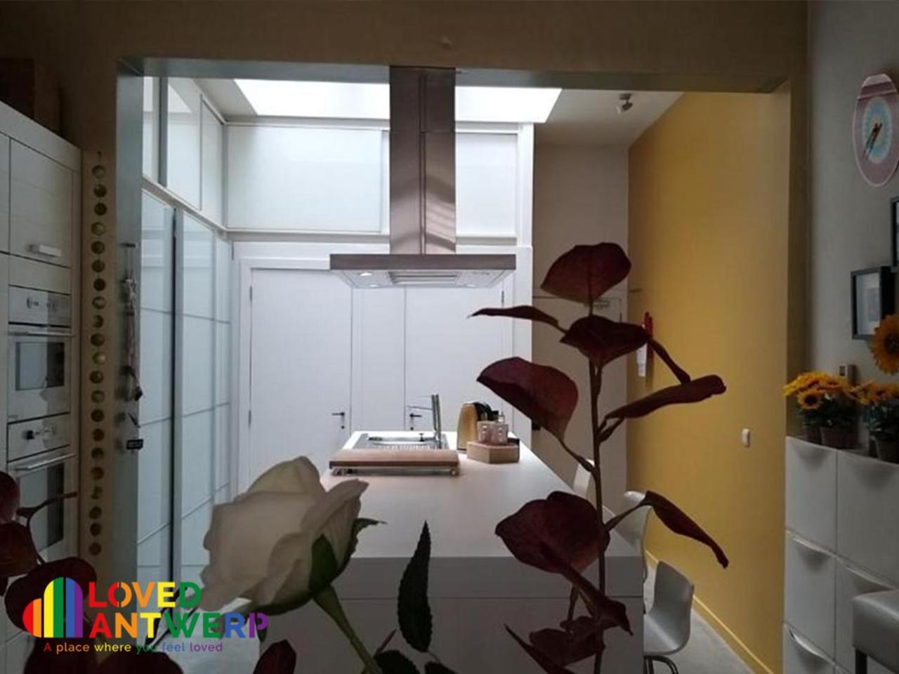 Wellness Loft With Sauna, Jacuzzi, Roof Terrace & Amazing View Apartment Antwerpen Ngoại thất bức ảnh